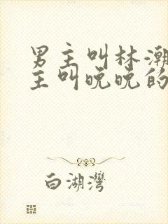 男主叫林潮生女主叫晚晚的小说