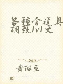 各种含道具高h调教1v1文