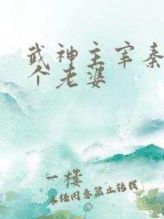 武神主宰秦尘几个老婆