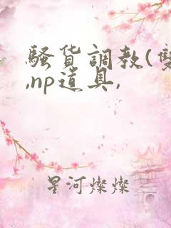 骚货调教(双性,np道具,