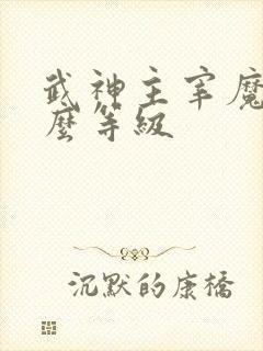 武神主宰魔主什么等级
