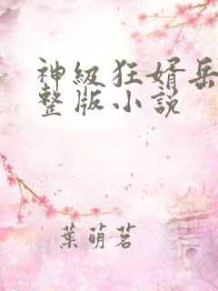 神级狂婿岳风完整版小说