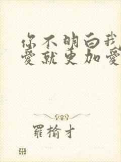 你不明白我说不爱就更加爱什么歌