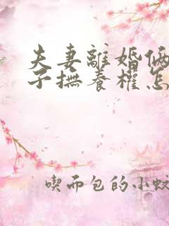 夫妻离婚俩个孩子抚养权怎么判定