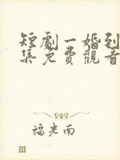 短剧一婚到底全集免费观看