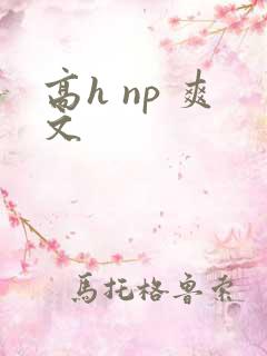高h np 爽文