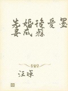 先婚后爱墨少宠妻成瘾