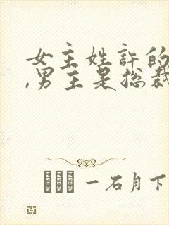 女主姓许的小说,男主是总裁