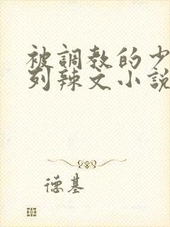 被调教的少妇系列辣文小说