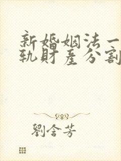 新婚姻法一方出轨财产分割