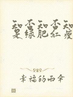 知否知否知否应是绿肥红瘦 在线