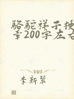 骆驼祥子梗概每章200字左右