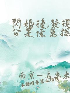 闪婚后,发现老公是亿万总裁 小说