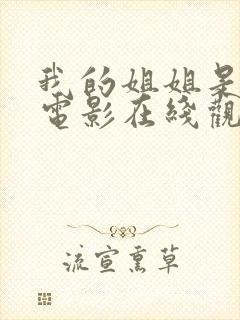 我的姐姐是法官电影在线观看免费