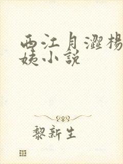 西江月涩杨夜江姨小说