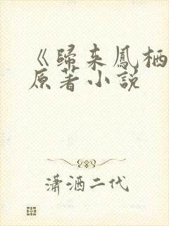 《归来凤栖处》原著小说