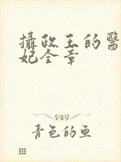 摄政王的医品狂妃全章