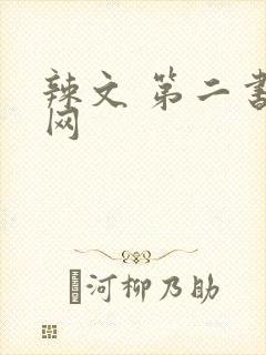 辣文 第二书包网