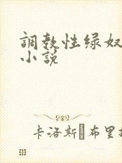 调教性绿奴夫妇小说
