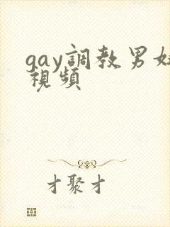 gay调教男奴视频