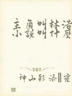 主角叫林浩然的小说叫什么