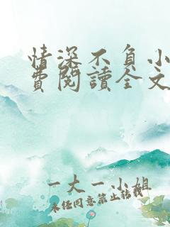 情深不负小说免费阅读全文