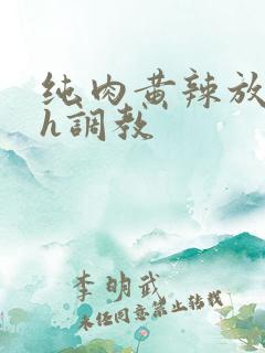 纯肉黄辣放荡高h调教