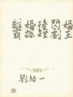 离婚后闪婚首富霸总短剧主要演员