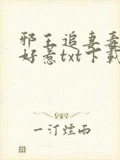 邪王追妻毒妃不好惹txt下载