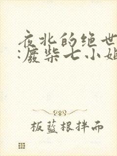 夜北的绝世神偷:废柴七小姐