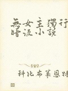 无女主独行者黑暗流小说