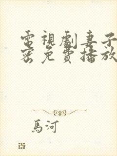 电视剧妻子的秘密免费播放