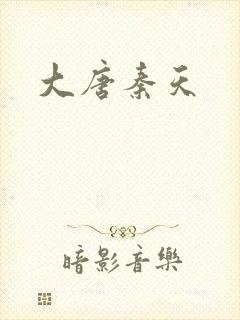 大唐秦天