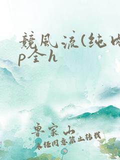 竞风流(纯肉np全h