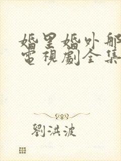 婚里婚外那些事电视剧全集