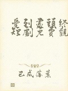 爱到尽头终成空短剧免费观看全集