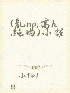 (乱np,高h,纯肉)小说