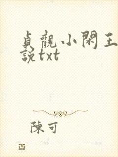 贞观小闲王 小说txt