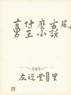 有什么古风的双男主小说