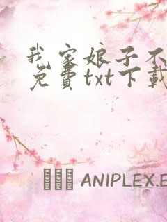 我家娘子不对劲免费txt下载