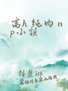 高h 纯肉 np小说
