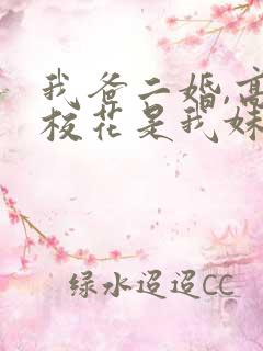 我爸二婚,高冷校花是我妹短剧