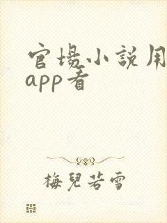 官场小说用什么app看