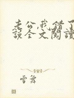 老公,我错了小说全文阅读