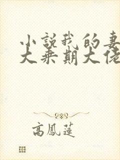 小说我的妻子是大乘期大佬免费