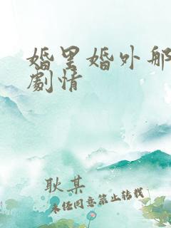 婚里婚外那些事剧情
