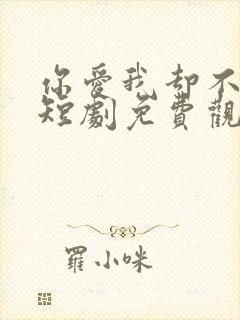 你爱我却不懂我短剧免费观看