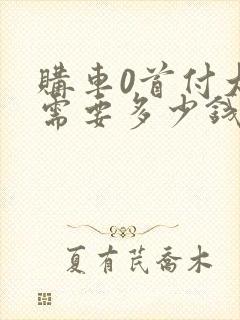 购车0首付大概需要多少钱