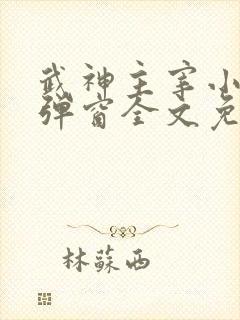 武神主宰小说无弹窗全文免费阅读