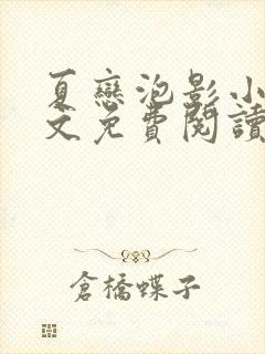 夏恋泡影小说全文免费阅读最新章节